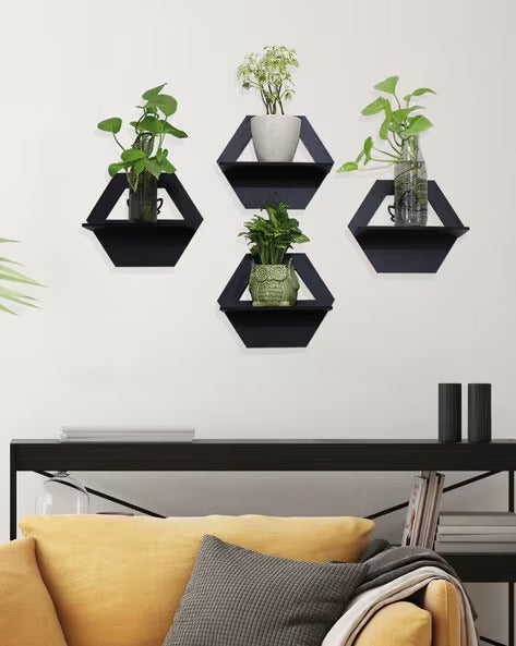 Set of 4 Random Lotus Wall Hanging Plants (N3)